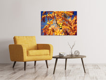 Laden Sie das Bild in den Galerie-Viewer, Leinwandbild Der Nussbaum XL