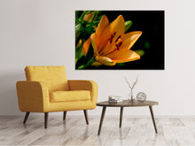 Laden Sie das Bild in den Galerie-Viewer, Leinwandbild Close up Lilie in orange