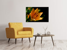 Laden Sie das Bild in den Galerie-Viewer, Leinwandbild Close up Lilie in orange
