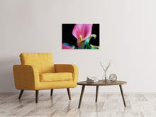Laden Sie das Bild in den Galerie-Viewer, Leinwandbild Zantedeschien