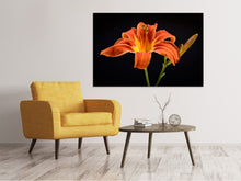 Laden Sie das Bild in den Galerie-Viewer, Leinwandbild Eine Lilien Blüte in orange