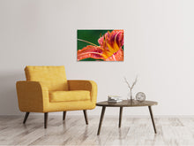 Laden Sie das Bild in den Galerie-Viewer, Leinwandbild XXL Lilie in orange
