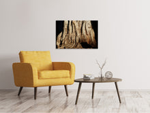 Laden Sie das Bild in den Galerie-Viewer, Leinwandbild Baum Close Up