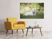 Laden Sie das Bild in den Galerie-Viewer, Leinwandbild Niedliche Spitz Welpe