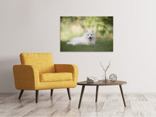 Laden Sie das Bild in den Galerie-Viewer, Leinwandbild Niedliche Spitz Welpe