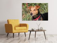 Laden Sie das Bild in den Galerie-Viewer, Leinwandbild Aufmerksamer Hund