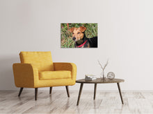 Laden Sie das Bild in den Galerie-Viewer, Leinwandbild Aufmerksamer Hund