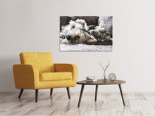 Laden Sie das Bild in den Galerie-Viewer, Leinwandbild 2 niedliche Hunde