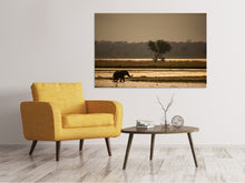 Laden Sie das Bild in den Galerie-Viewer, Leinwandbild Elefant alleine in der Steppe
