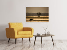 Laden Sie das Bild in den Galerie-Viewer, Leinwandbild Elefant alleine in der Steppe