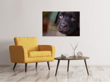 Laden Sie das Bild in den Galerie-Viewer, Leinwandbild Süsse Labrador Welpe