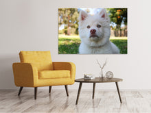 Laden Sie das Bild in den Galerie-Viewer, Leinwandbild Süsse Hundeschnautze
