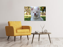 Laden Sie das Bild in den Galerie-Viewer, Leinwandbild Süsse Hundeschnautze