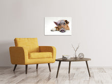 Laden Sie das Bild in den Galerie-Viewer, Leinwandbild Der lustige Schweine Hund