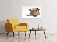 Laden Sie das Bild in den Galerie-Viewer, Leinwandbild Der lustige Schweine Hund