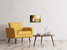 Laden Sie das Bild in den Galerie-Viewer, Leinwandbild Der Havaneser