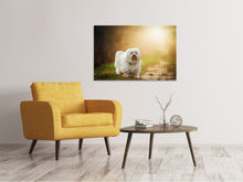 Laden Sie das Bild in den Galerie-Viewer, Leinwandbild Der Havaneser