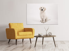 Laden Sie das Bild in den Galerie-Viewer, Leinwandbild Süsse Golden Retriever Welpe