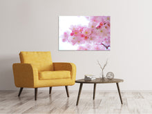 Laden Sie das Bild in den Galerie-Viewer, Leinwandbild Japanische Kirschblüte XL