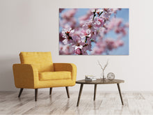 Laden Sie das Bild in den Galerie-Viewer, Leinwandbild Japanische Zierkirsche Close up