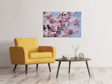 Laden Sie das Bild in den Galerie-Viewer, Leinwandbild Japanische Zierkirsche Close up