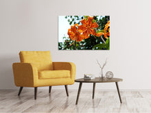 Laden Sie das Bild in den Galerie-Viewer, Leinwandbild Die wilden Tiger-Lilien