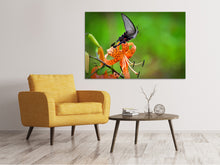 Laden Sie das Bild in den Galerie-Viewer, Leinwandbild Die Tiger-Lilie und der Schmetterling