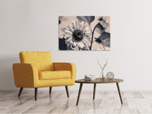 Laden Sie das Bild in den Galerie-Viewer, Leinwandbild Bienen auf der Sonnenblume sw