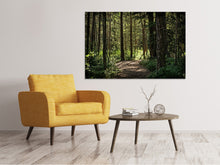 Laden Sie das Bild in den Galerie-Viewer, Leinwandbild Viele Bäume