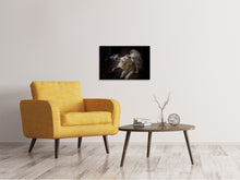 Laden Sie das Bild in den Galerie-Viewer, Leinwandbild Das Löwen Paar
