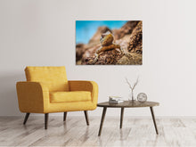 Laden Sie das Bild in den Galerie-Viewer, Leinwandbild Kleiner Alligator