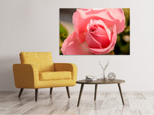 Laden Sie das Bild in den Galerie-Viewer, Leinwandbild Die Rose in rosa