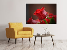 Laden Sie das Bild in den Galerie-Viewer, Leinwandbild Rote Rose in XL