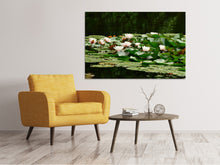 Laden Sie das Bild in den Galerie-Viewer, Leinwandbild Ein Feld voller Seerosen
