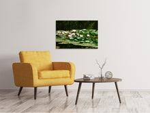 Laden Sie das Bild in den Galerie-Viewer, Leinwandbild Ein Feld voller Seerosen