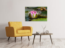 Laden Sie das Bild in den Galerie-Viewer, Leinwandbild XL Seerose in rosa