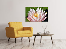 Laden Sie das Bild in den Galerie-Viewer, Leinwandbild Die Biene auf der Seerose