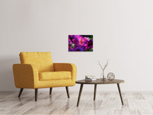 Laden Sie das Bild in den Galerie-Viewer, Leinwandbild Der Rhododendron