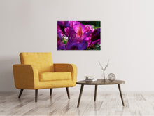 Laden Sie das Bild in den Galerie-Viewer, Leinwandbild Der Rhododendron