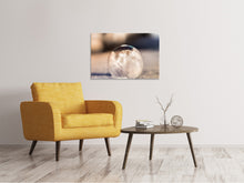 Laden Sie das Bild in den Galerie-Viewer, Leinwandbild Kunstvolle Blase