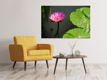 Laden Sie das Bild in den Galerie-Viewer, Leinwandbild Lotus Blüte in pink