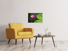 Laden Sie das Bild in den Galerie-Viewer, Leinwandbild Lotus Blüte in pink