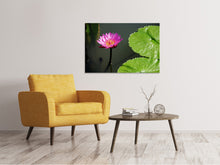 Laden Sie das Bild in den Galerie-Viewer, Leinwandbild Lotus Blüte in pink