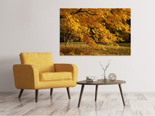 Laden Sie das Bild in den Galerie-Viewer, Leinwandbild Der prächtige Herbstbaum