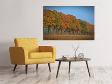 Laden Sie das Bild in den Galerie-Viewer, Leinwandbild Wunderschöner Herbst