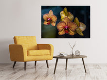 Laden Sie das Bild in den Galerie-Viewer, Leinwandbild Orchidaceae