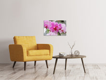Laden Sie das Bild in den Galerie-Viewer, Leinwandbild Lila Orchideen in der Blüte