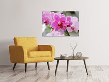 Laden Sie das Bild in den Galerie-Viewer, Leinwandbild Lila Orchideen in der Blüte