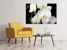 Laden Sie das Bild in den Galerie-Viewer, Leinwandbild Orchidee Close up