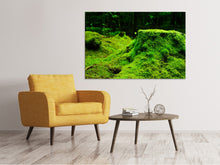 Laden Sie das Bild in den Galerie-Viewer, Leinwandbild Moos im Wald